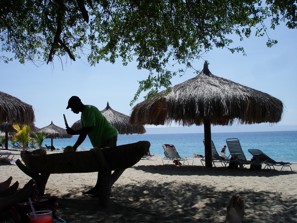 Cocotiers sur la plage de Club Indigo, corridor de Montrouis